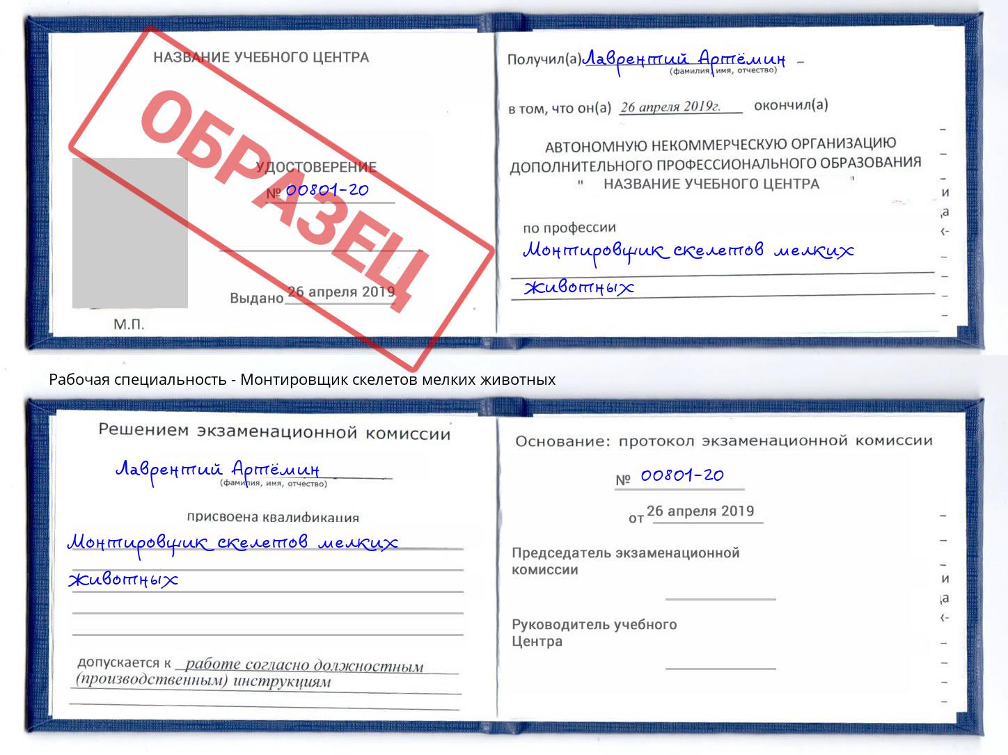 Монтировщик скелетов мелких животных Сочи