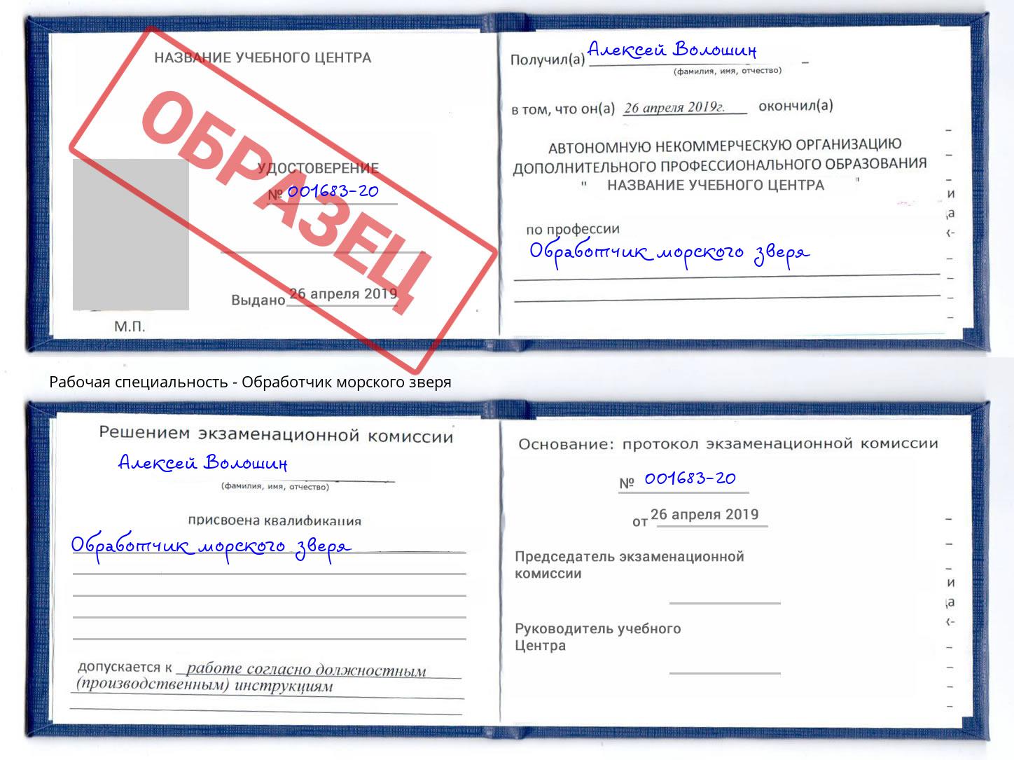 Обработчик морского зверя Сочи