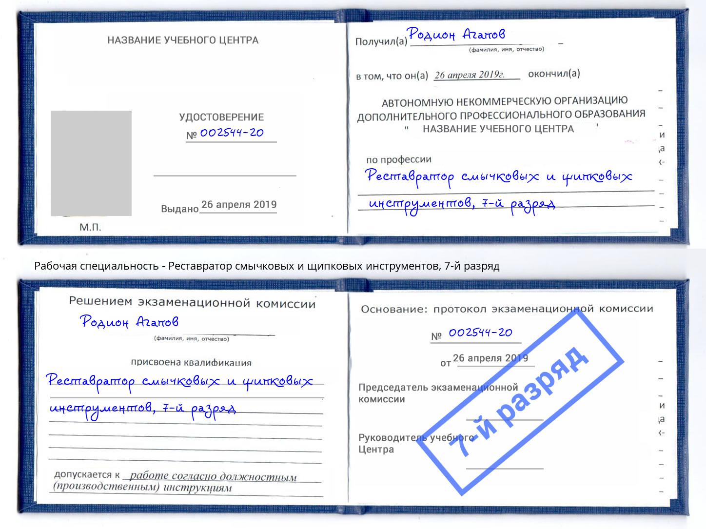 корочка 7-й разряд Реставратор смычковых и щипковых инструментов Сочи