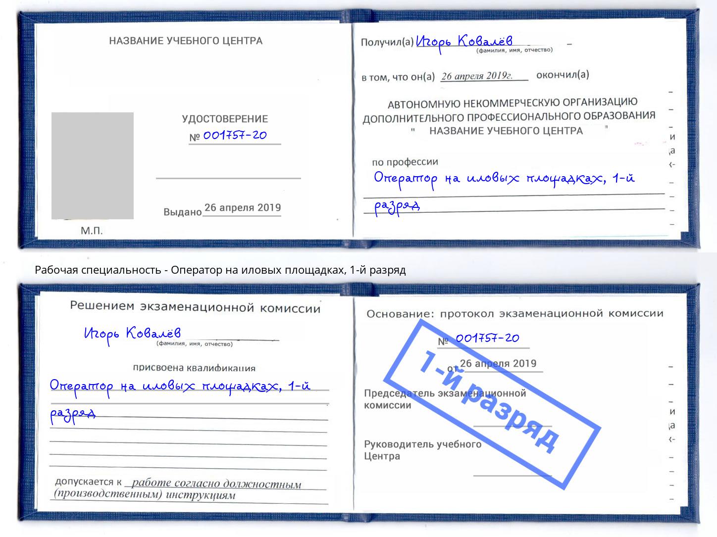 корочка 1-й разряд Оператор на иловых площадках Сочи