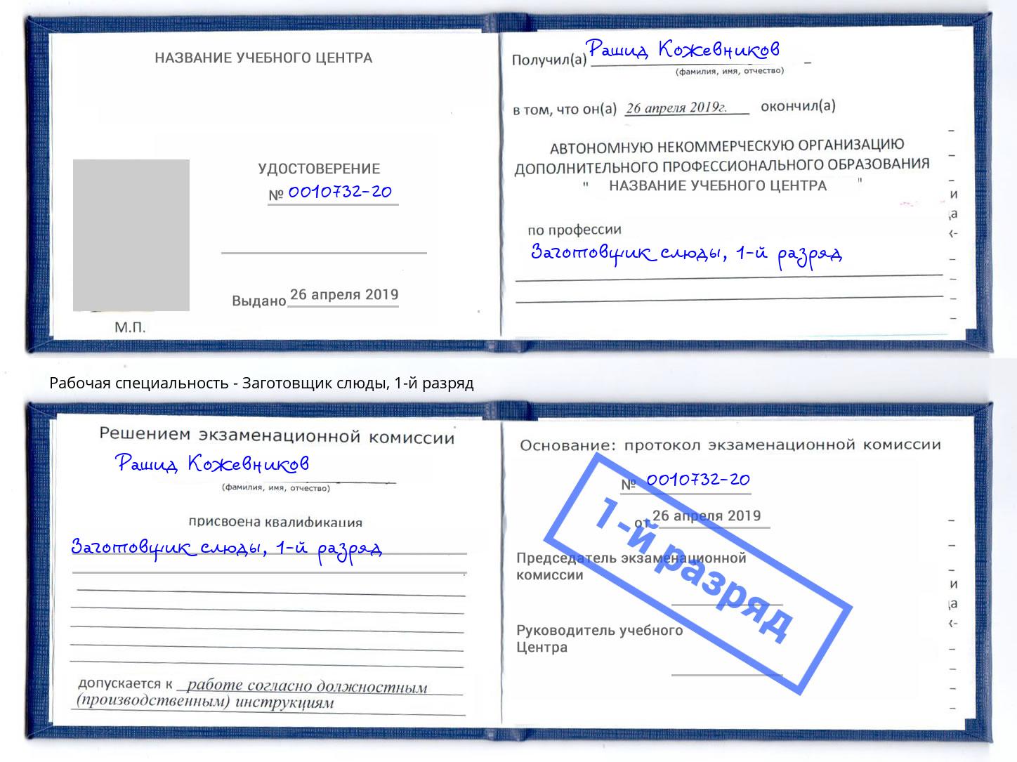 корочка 1-й разряд Заготовщик слюды Сочи
